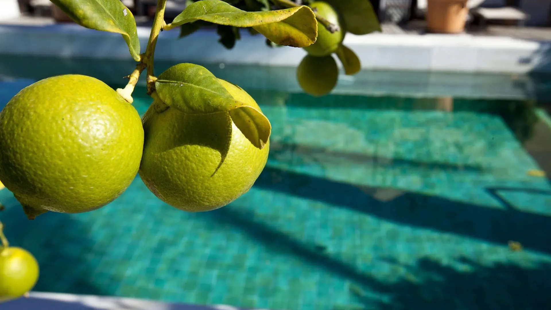 Rio Real Golf & Hotel Marbellac